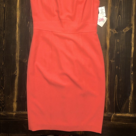 Dillards KASPER Beautiful Nectar/Coral Sheath Dress w/Banded Waist- Full Lining - Picture 7 of 9